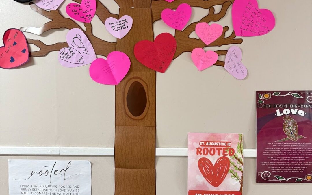 Good News Story: St. Augustine School, Wilcox
