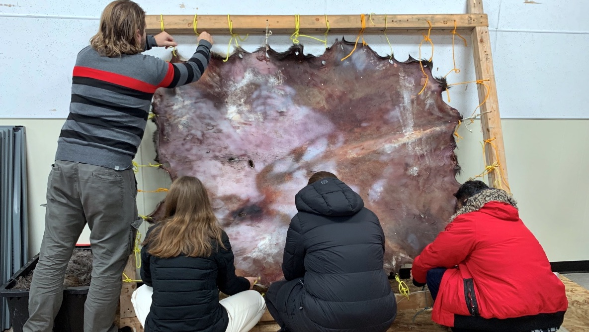USask College of Nursing students working with an Elder on a moose hide during a community clinical at St. Frances Cree Bilingual School
