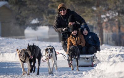 Sled dogs, bannock and culture: students celebrate Indigenous traditions