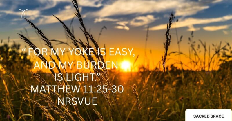 Image for the Tweet beginning: “Come to me, all you